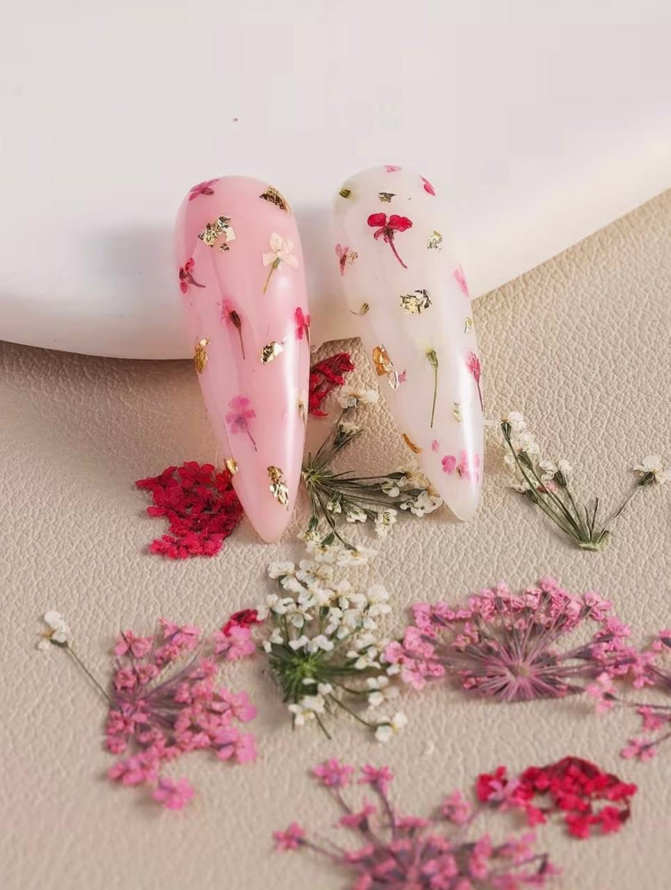 Dried flowers for design, multi-colored (round container)