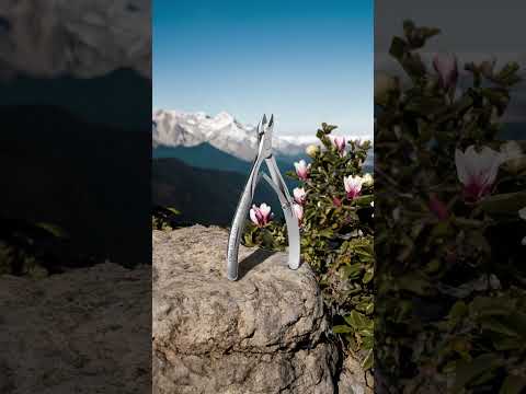 КУСАЧКИ ПРОФЕСІЙНІ ДЛЯ ШКІРИ STALEKS (СТАЛЕКС) PRO EXCLUSIVE 20 MAGNOLIA NX-20-5 РІЖУЧА ЧАСТИНА 5 ММ